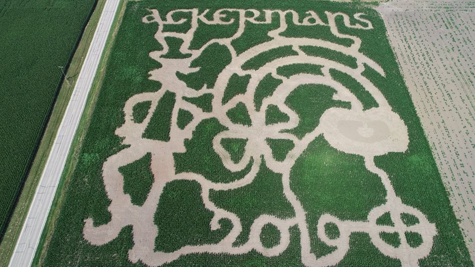 Ackerman Family Farms, LLC